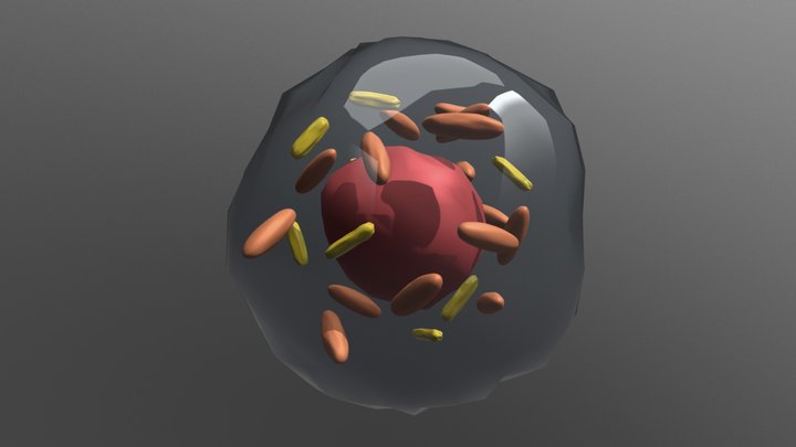 Coxiella burnetii 3D Model