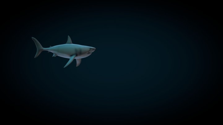 Megalodon 05 Up 120 3D Model