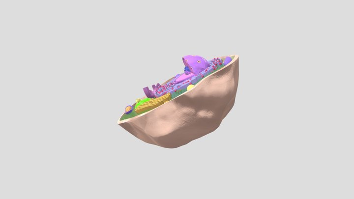 celula 3D Model