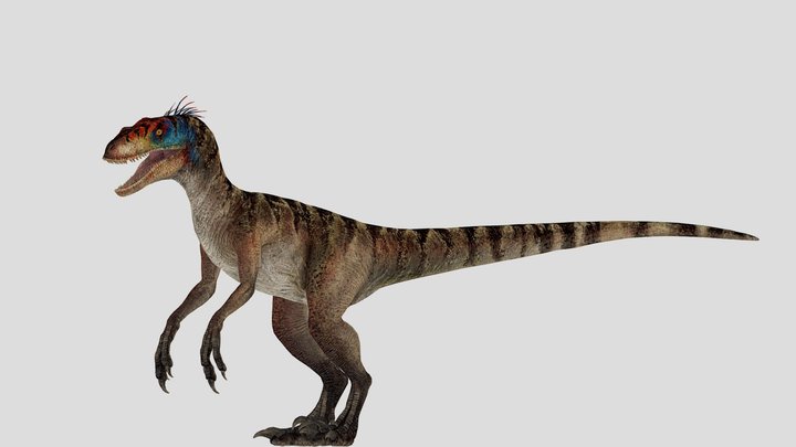 Velociraptor – Gratis 3D-model STL