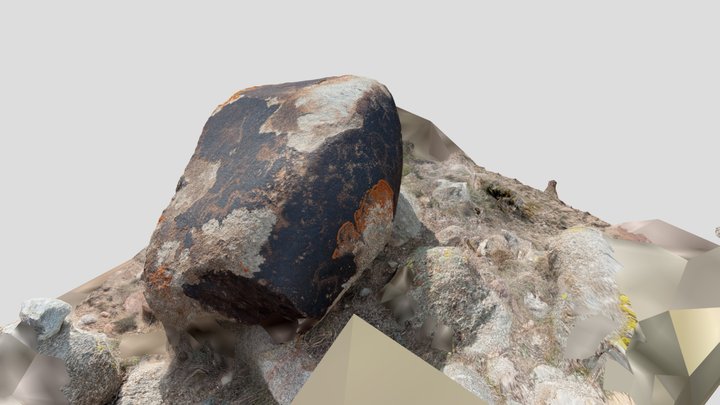 Petroglyph 11-051 Ornok Issyk-Kul Kyrgyzstan 3D Model