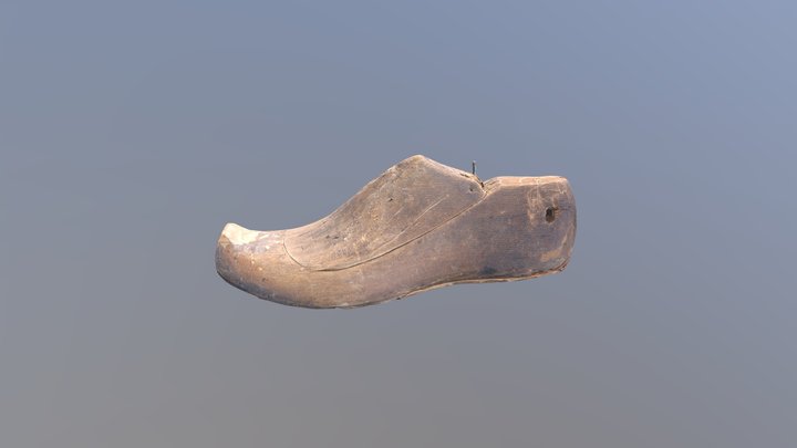 Shoe last 3D Model