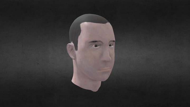 Textured Face 3D Model