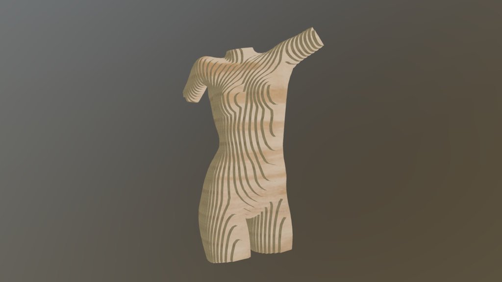 Torso Small 22 Deg