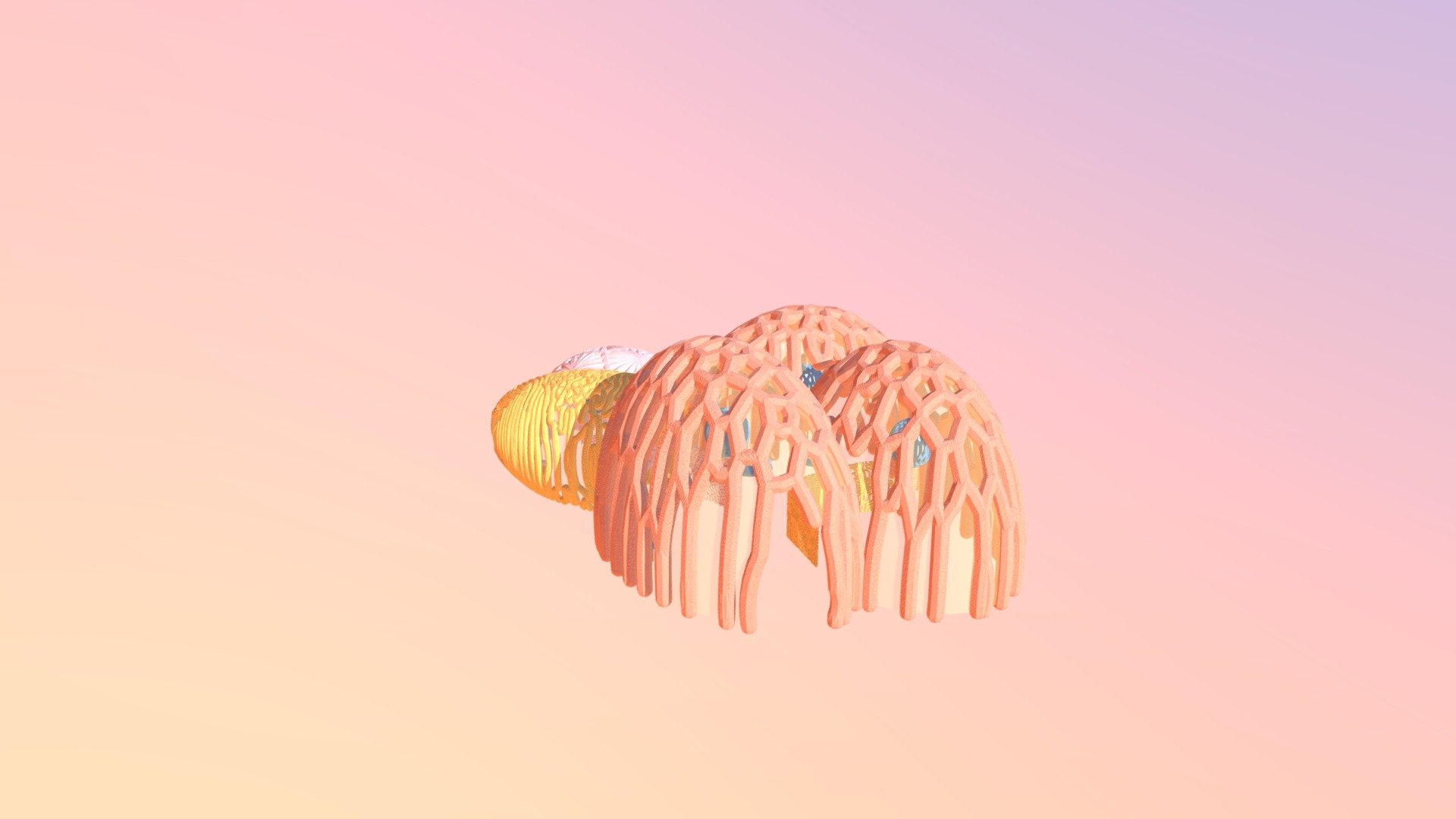 TYPOLOGY C
