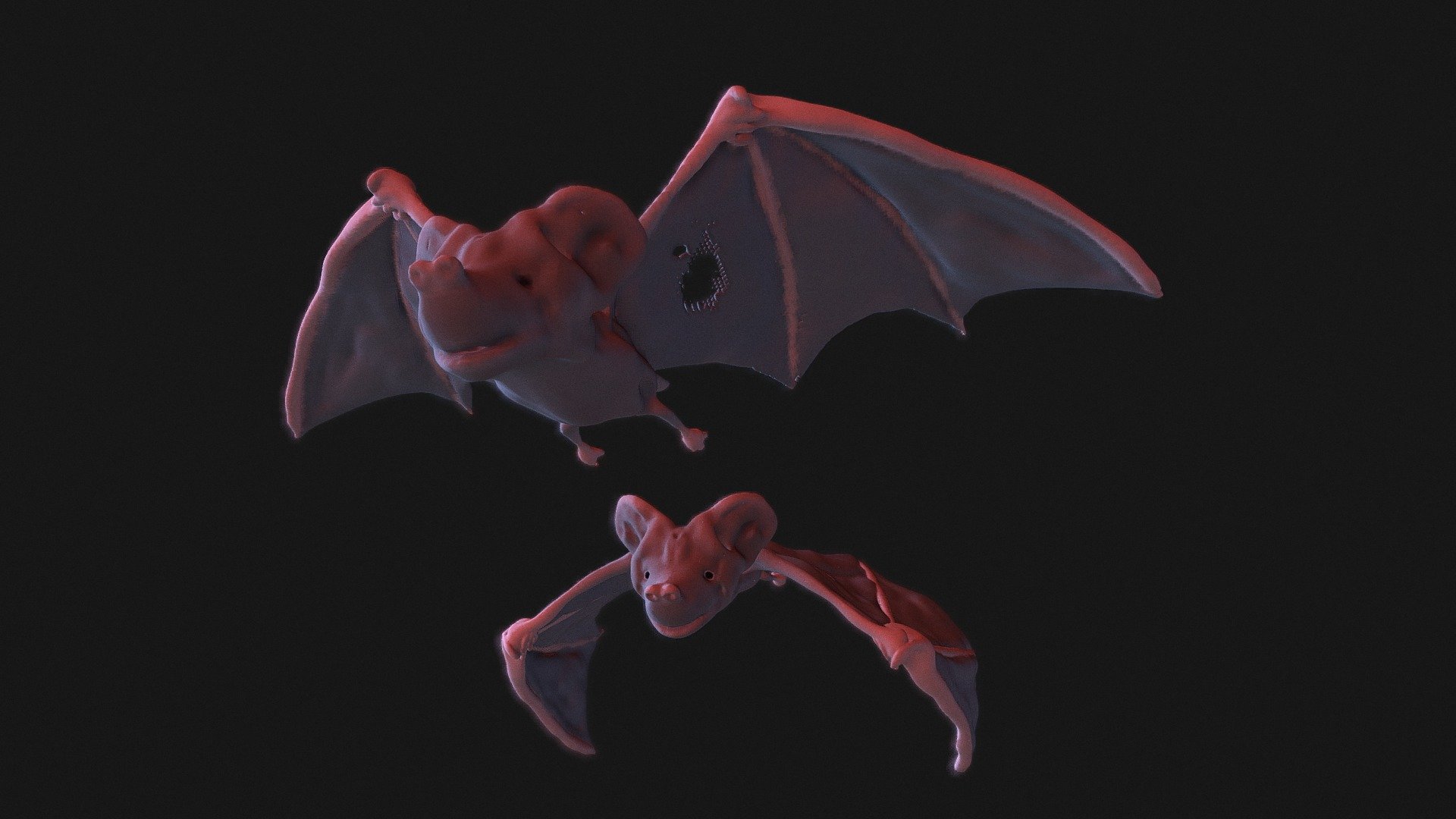 Fiodora's Bats
