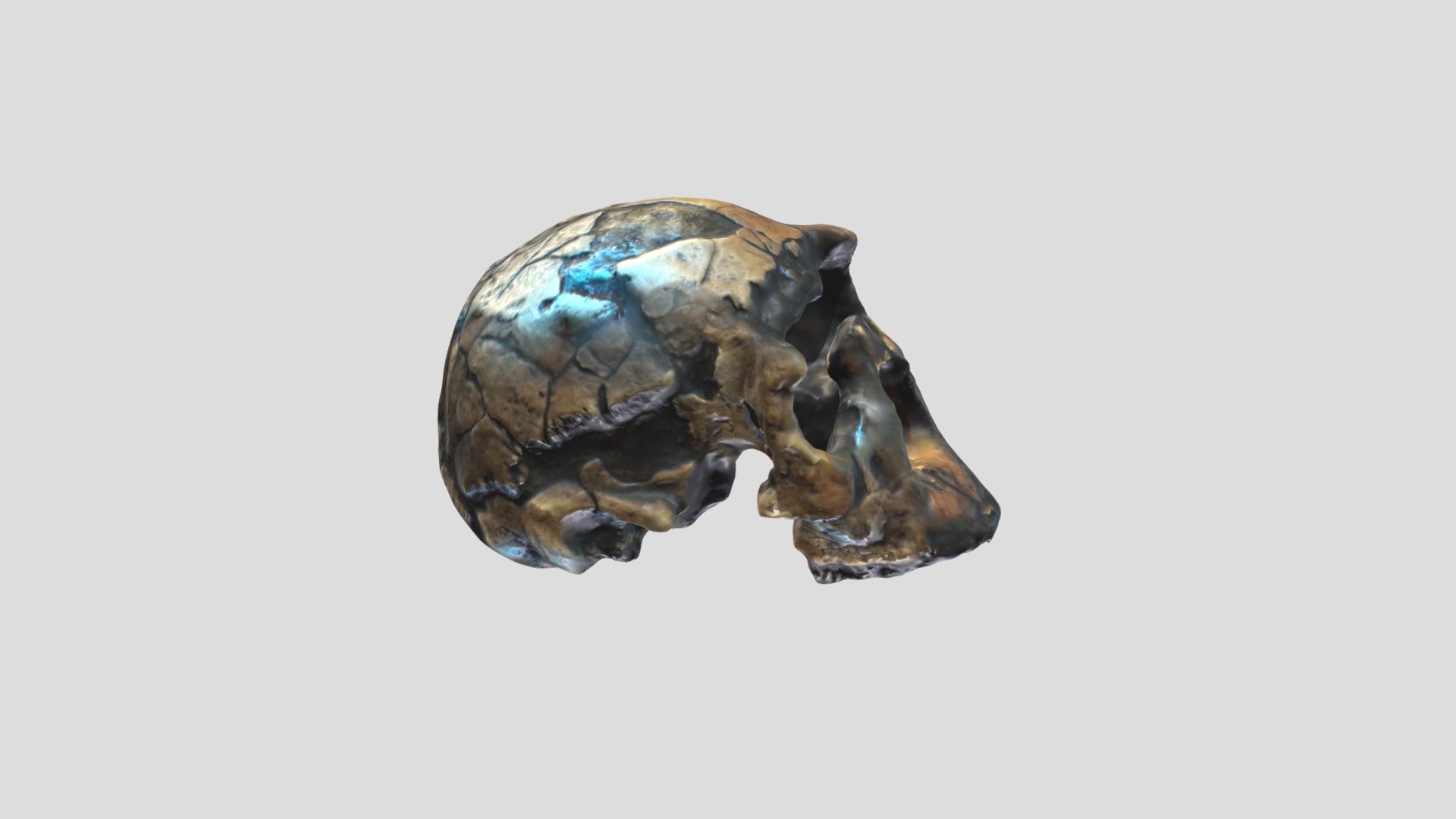 Skull1