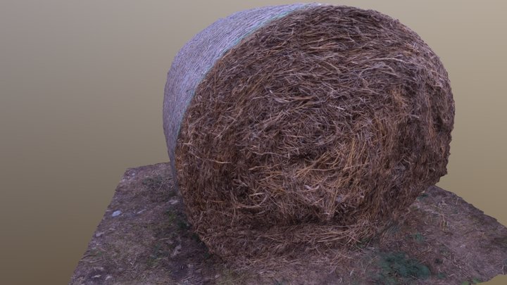 Straw Roll 2 3D Model