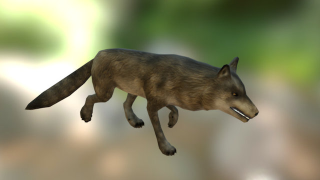 WOLF 3D Model