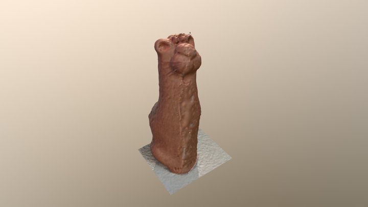 Cat-edited-test 3D Model