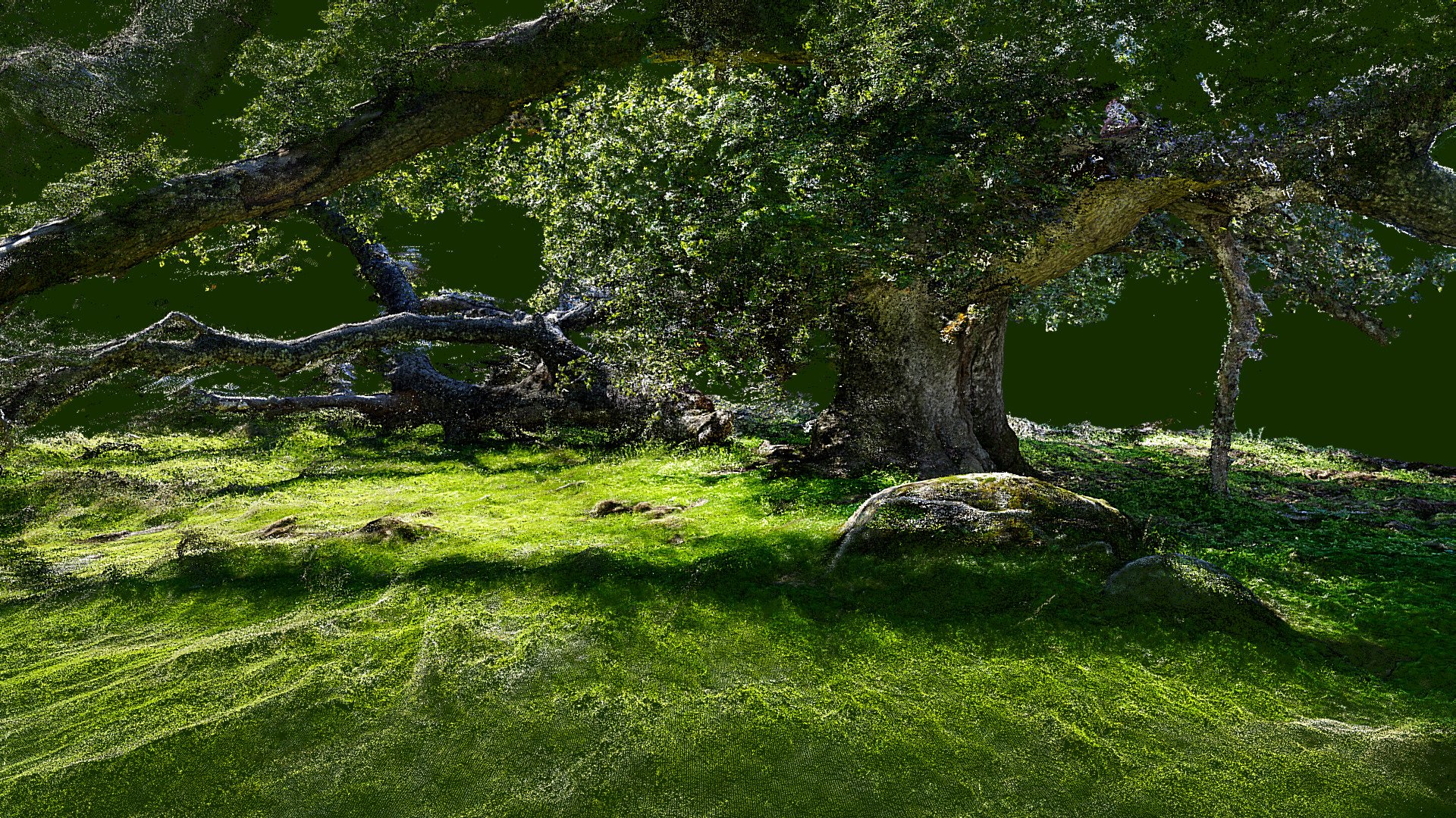 Recovering Oak - Point Cloud Version