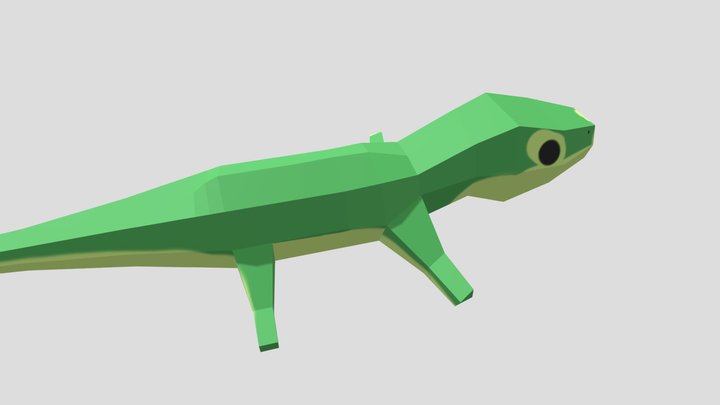 lizard 3D Model