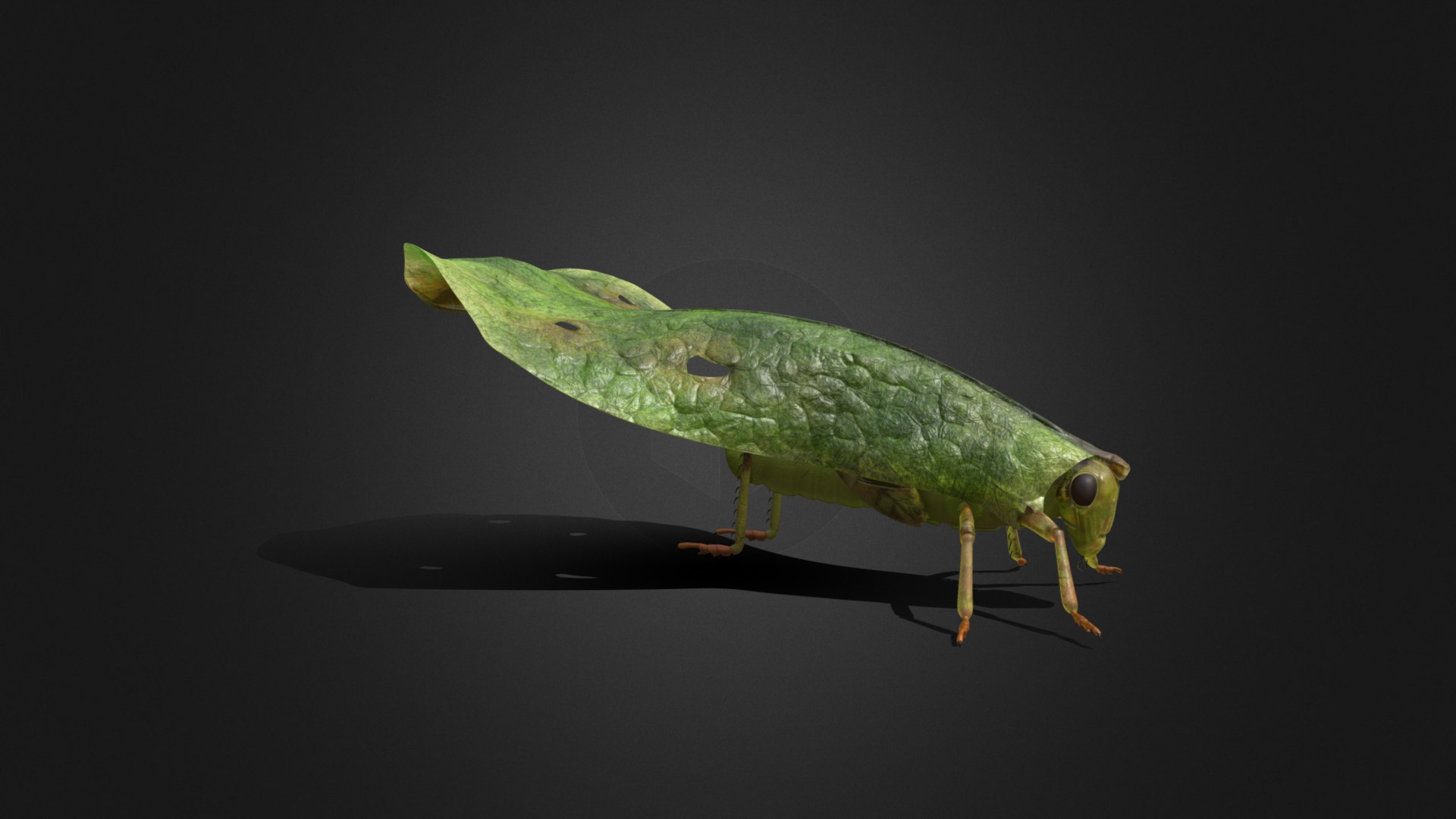 3D model Grasshopper – Concept Model - This is a 3D model of the Grasshopper - Concept Model. The 3D model is about a green and white frog.