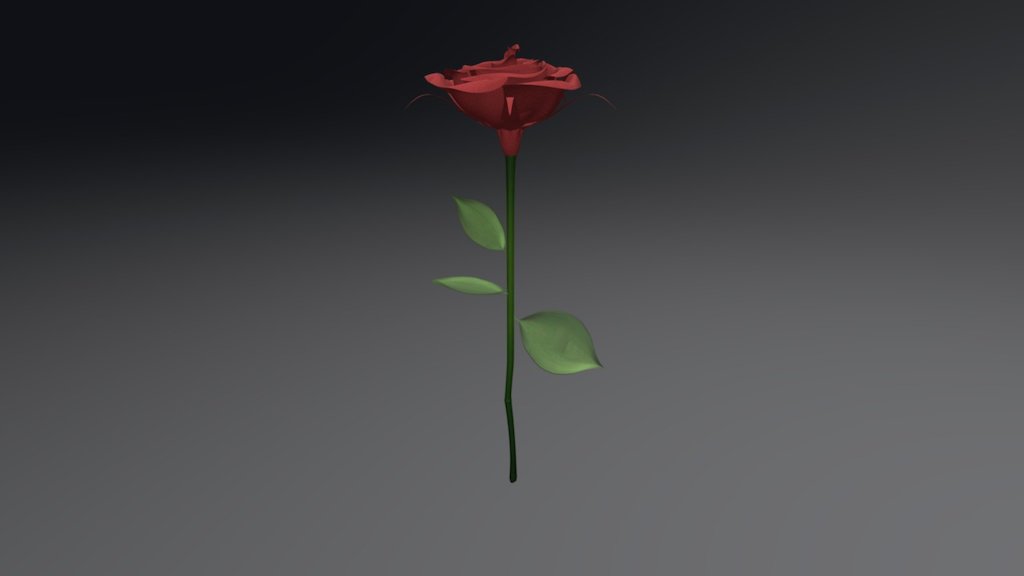 Mnb8l3q9gv0g-rose