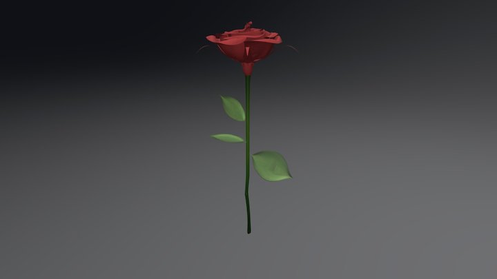 Mnb8l3q9gv0g-rose 3D Model