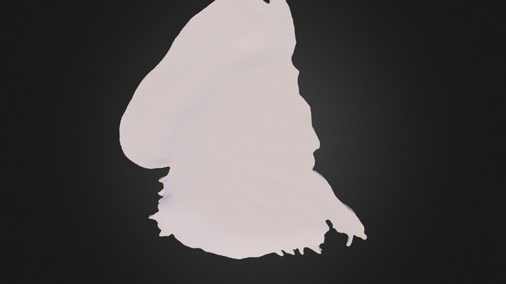 My SketchFab Mesh 3D Model