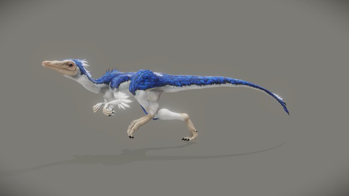 Compsognathus Dinosaur Run Pose 3D Model 3D Model $139 - .3ds .c4d .fbx .ma  .obj .max - Free3D