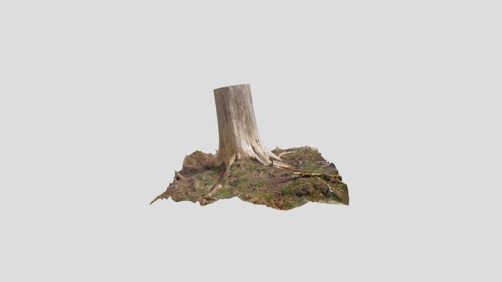 TreeScanTest01 3D Model