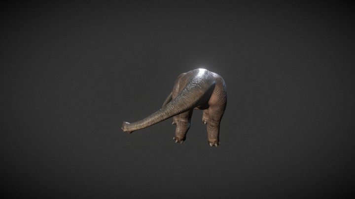 Pose 3D Model