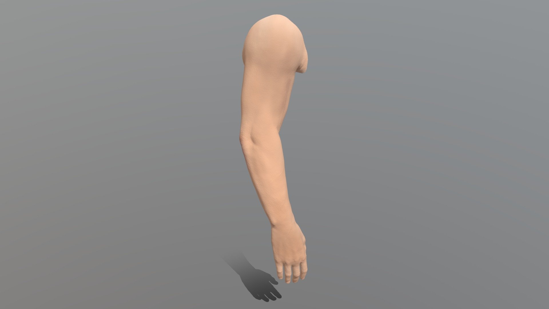 Male hand procreate - 3D model by vitalii_shvets [f6eb2a7] - Sketchfab