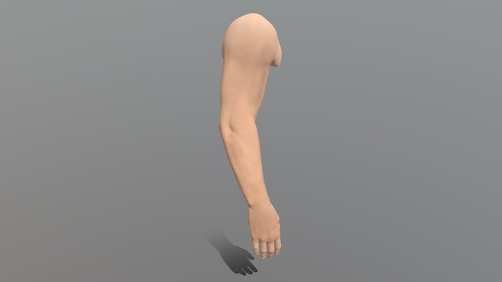 Male hand procreate 3D Model
