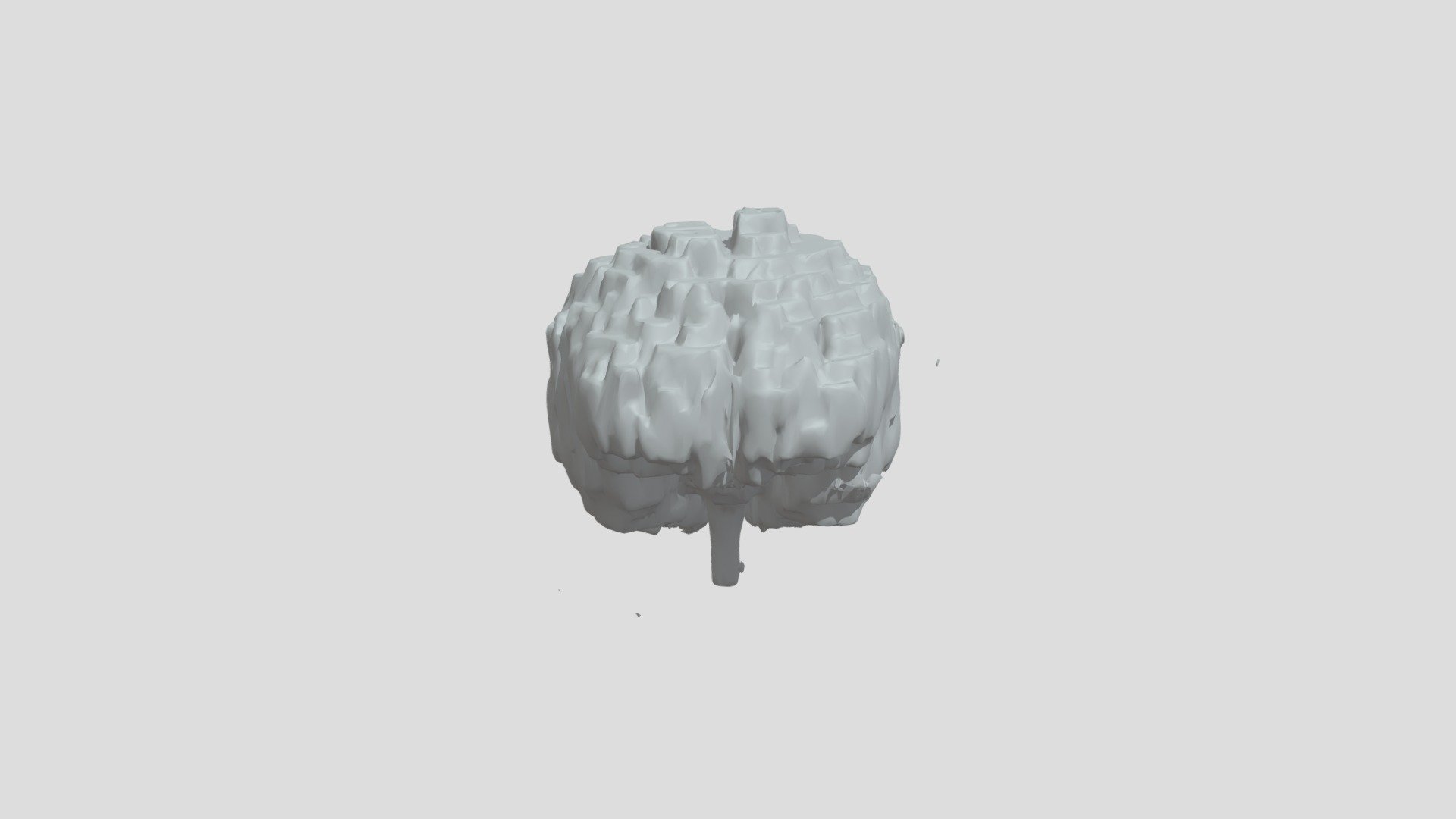 Segmentation edit 2 (reduced mesh) v1