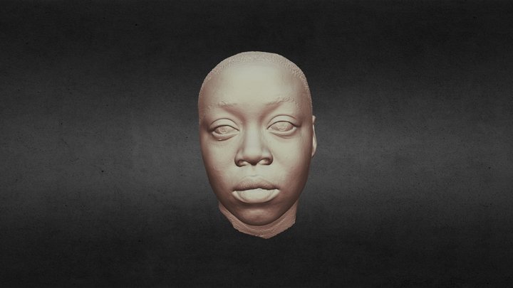 Face – Free 3D Model STL