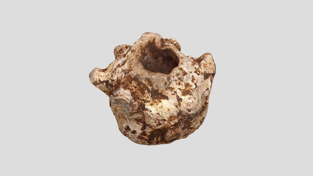 ESS-DAC5AC Early Medieval Gaming Piece