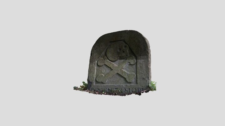 My cool 3D asset 3D Model