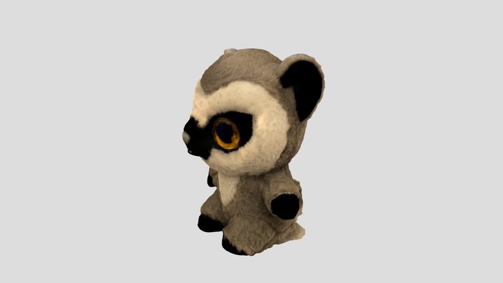 Raccoon 3D Model