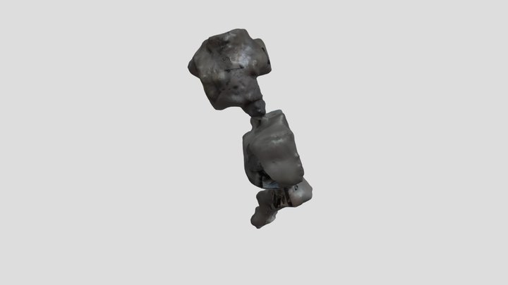 model 3D Model