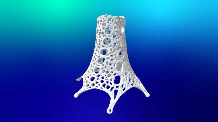 radiolario 3D Model