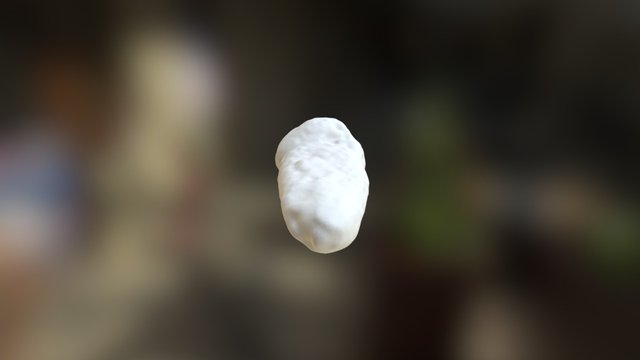 Burial 5 - Lower R P3 3D Model