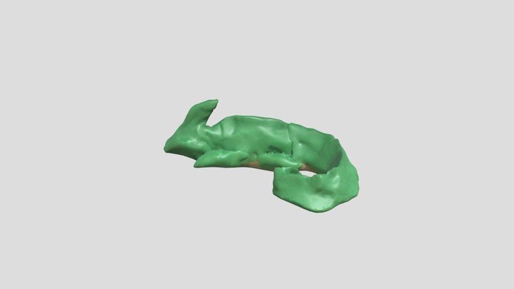 chameleon sidney – Free 3D Model STL