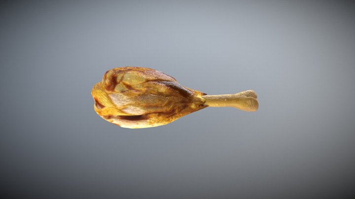 Chicken Thigh 3D Model