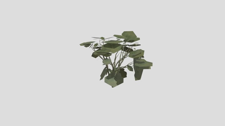 TREE 3D Model