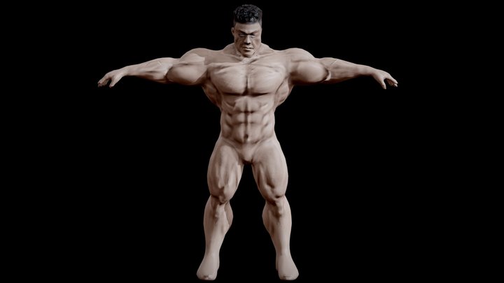 Free - Muscular Male Body 3D Model