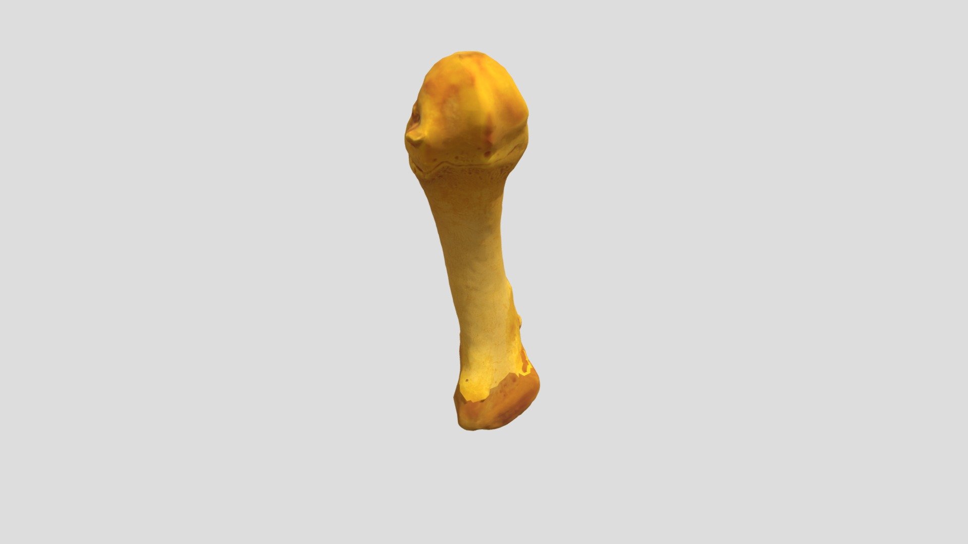 Ursus americanus, First Metatarsal (Sub-Adult)