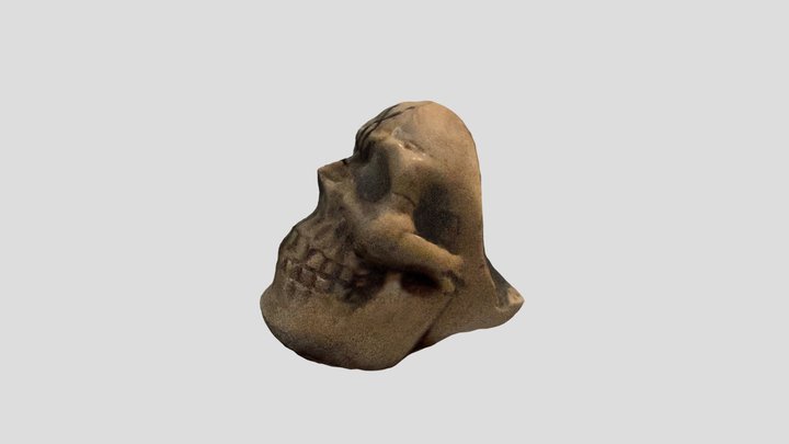 Polycam capture 3D Model
