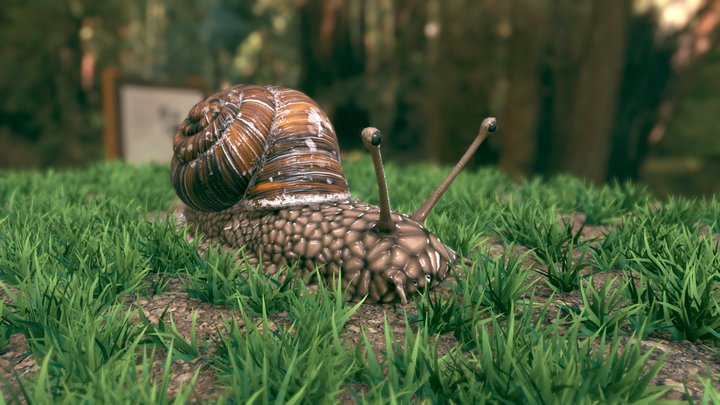 Snail in Grass 3D Model