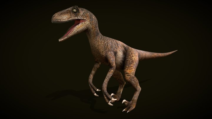 Velociraptor 3D Model