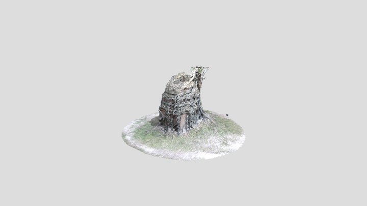 Chrey_Temple_Cambodia 3D Model