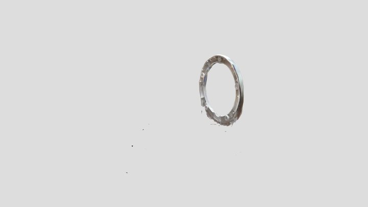 Untitled Scan 2 3D Model