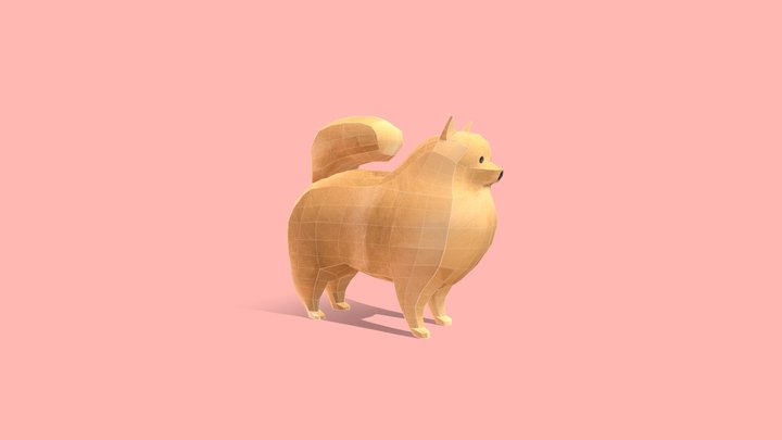 Pomeranian 3D Model