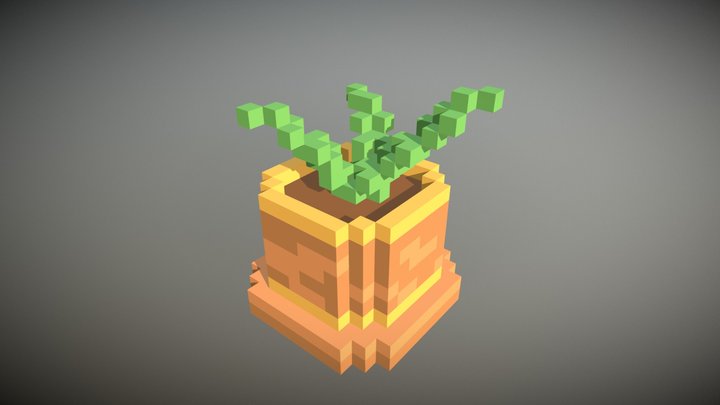 Small Plant 3D Model