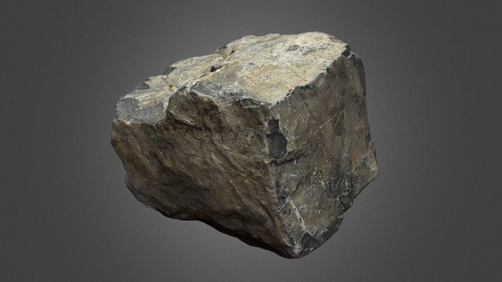 Stone Scan 3D Model
