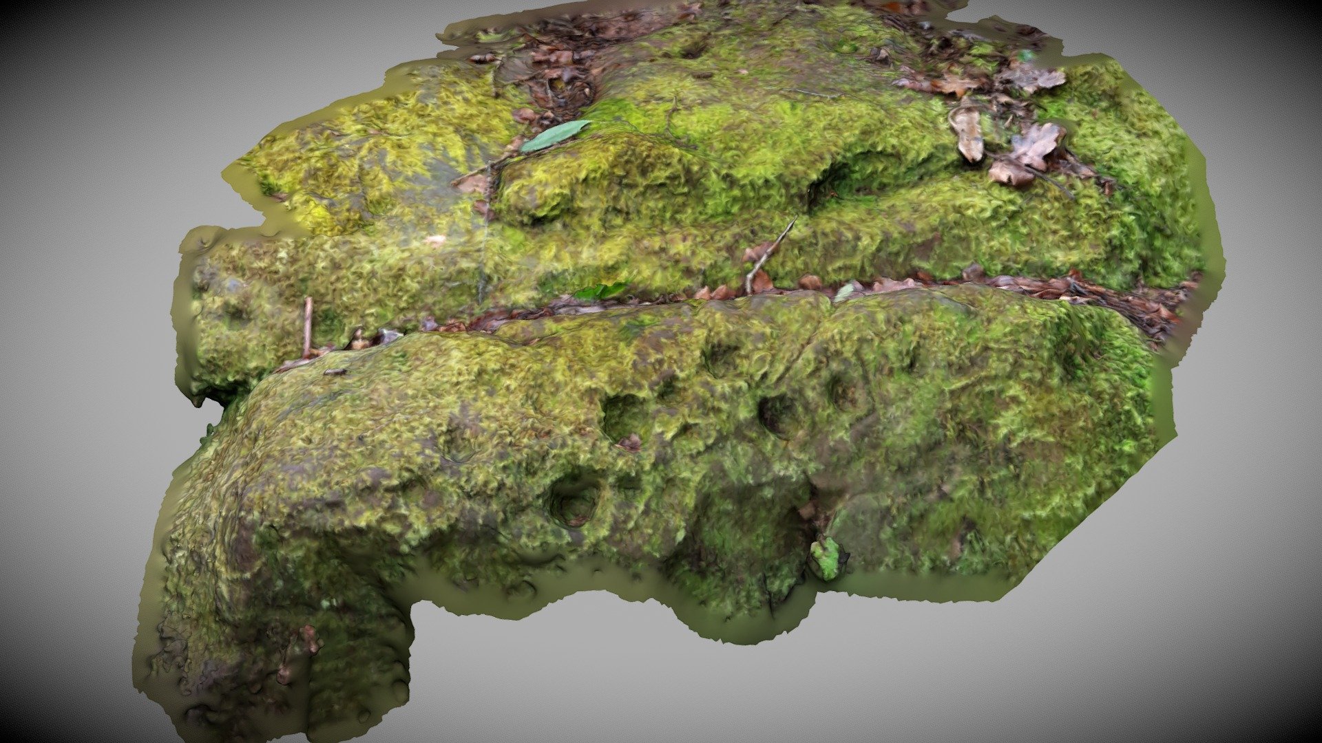 Leckie Outcrop Pre-clean (Panels 3 & 4)