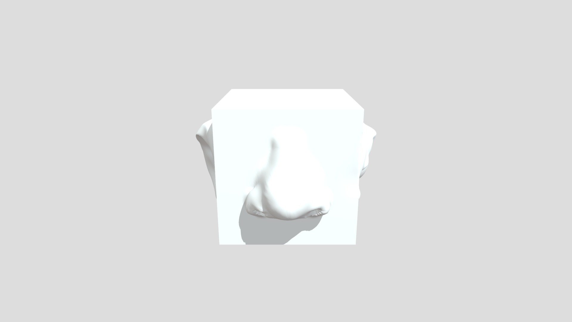 Jasmine Medina's Anatomy Cube 2 - 3D model by JasmineMedina [f71952d ...
