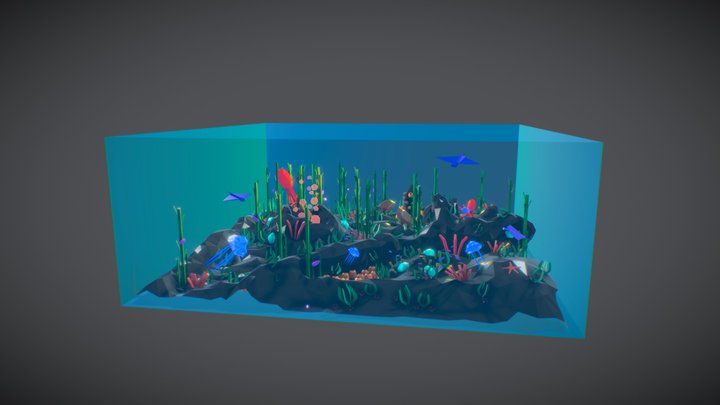 Chaotic marine life 3D Model