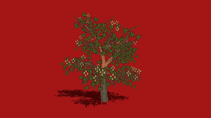 Stop Motion Pixel Art Pine 3D Model